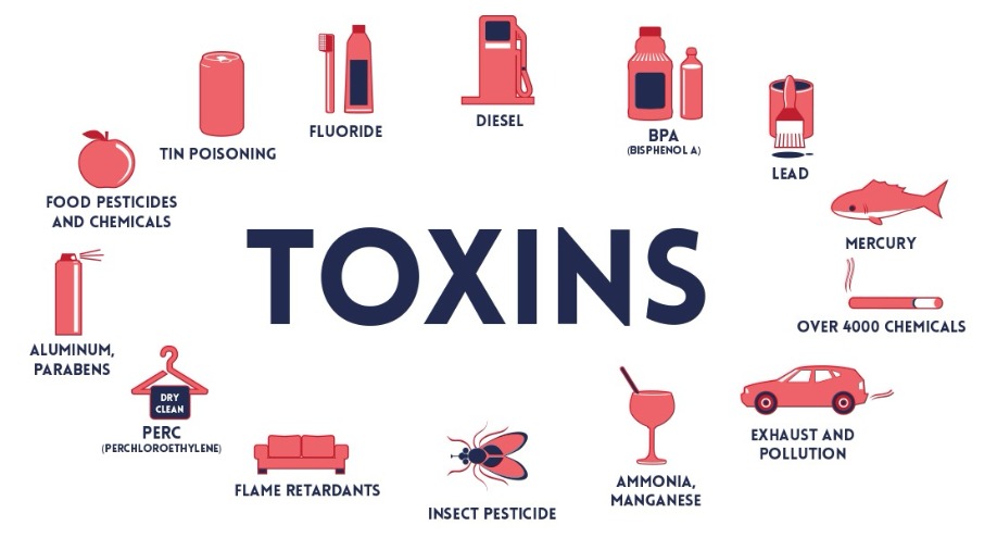 Toxins, Free Full-Text