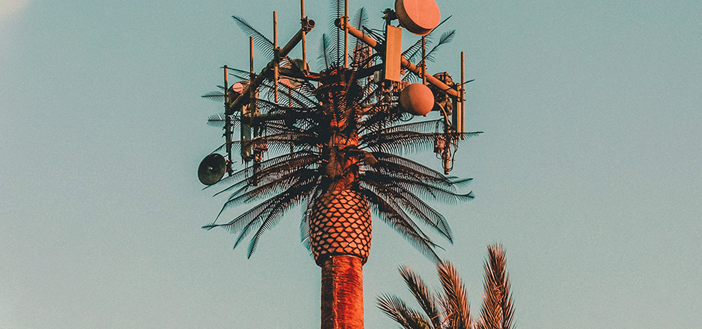 Is 5G Technology Dangerous or Harmful to Our Health?, image of a 5G tower disguised as a palm tree