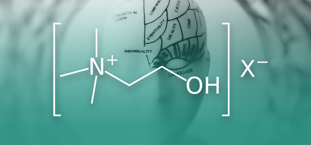Choline, Choline: The Essential Nutrient You Need To Know About, image of a mind with the choline chemical text overlay