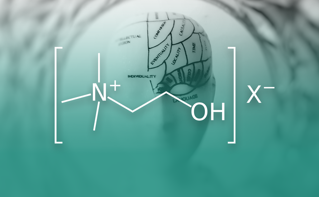 Choline, Choline: The Essential Nutrient You Need To Know About, image of a mind with the choline chemical text overlay