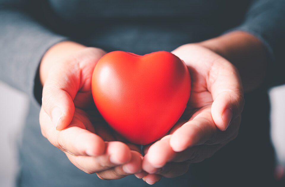 Glycocalyx, Why the Glycocalyx Matters for Vascular Health